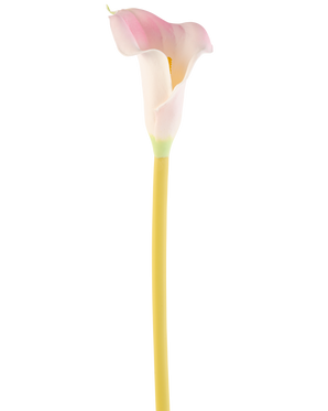 Den konstgjorda blomman Calla 64 cm rouge, en enda rosa och vit calla lilja med en gul stjälk, visas mot en vanlig vit bakgrund.