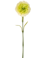 Den konstgjorda blomsternejlikan 57 cm ljusgrön är en konstgjord ljusgrön nejlika med volanger i kronbladen och en lång stjälk, avbildad mot en vanlig vit bakgrund.