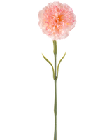Konstgjord blomma Nejlika 57 cm rodnande: En enda konstgjord ljusrosa nejlika med veckade kronblad på en lång grön stjälk och två par smala blad, avbildad mot en vit bakgrund.