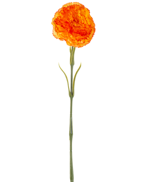 Den konstgjorda blomma nejlikan 57 cm orange är en konstgjord orange nejlika med volanger i kronbladen och en lång grön stjälk, isolerad på en vit bakgrund.
