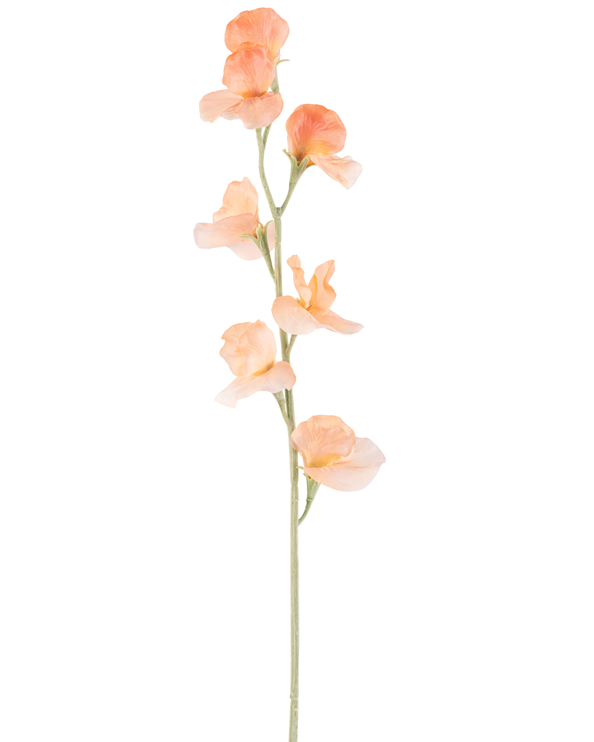En enda konstgjord blomärta 64 cm persika har en ljus persikofärgad konstgjord ärta med volanger i kronbladen och en grön stjälk, isolerad på vitt.