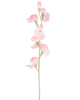 En enda konstgjord ärtblomma, 64 cm hög med ljusrosa kronblad och en ljusgrön stjälk, isolerad på en vit bakgrund.