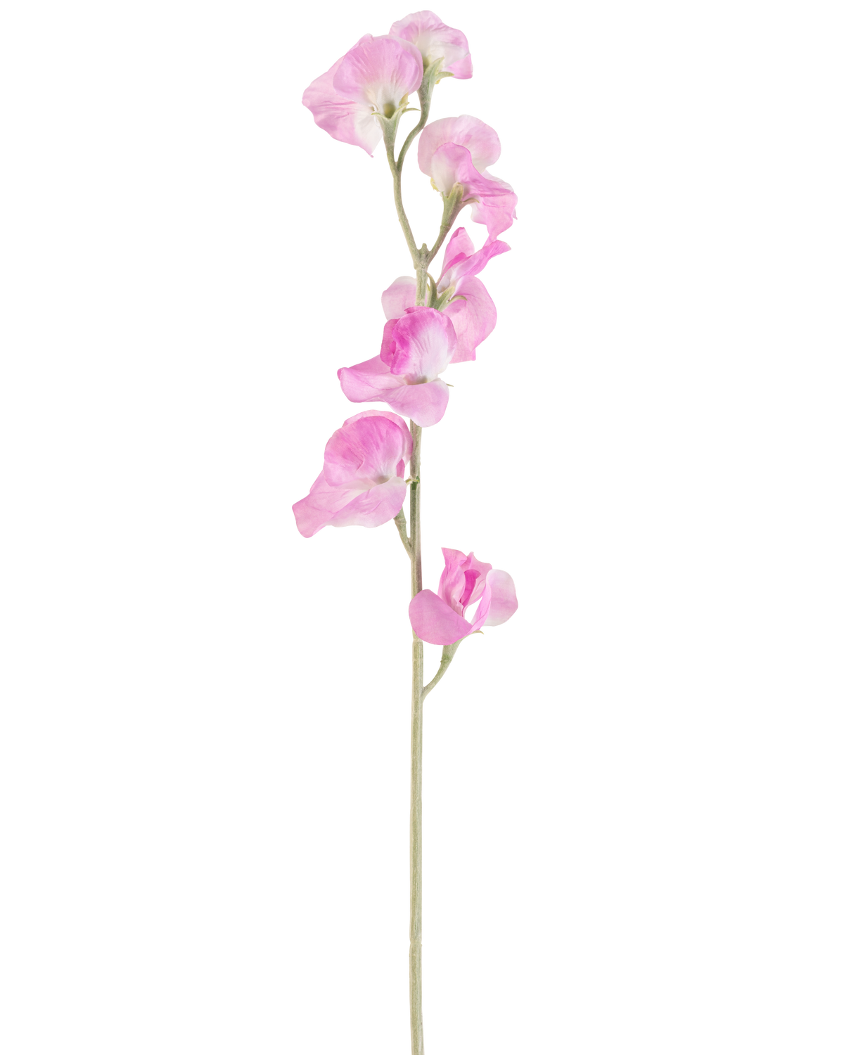 En enda konstgjord blomärta 64 cm rosa har känsliga, volangrosa kronblad och en ljusgrön stjälk, mot en vanlig vit bakgrund.