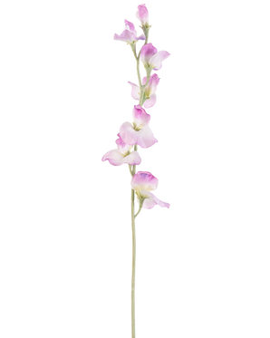 En enda lång konstgjord ärtblomma 64 cm lila stjälk med fina lila blommor anordnade vertikalt, mot en vanlig vit bakgrund.