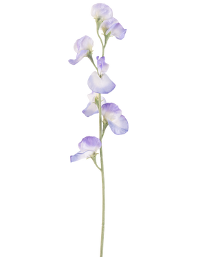 En enda konstgjord ärtblomma 64 cm lavendel, med flera fina ljuslila blommor och gröna stjälkar, isolerad på en vit bakgrund.