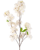 En konstgjord körsbärsblomma 119 cm kräm med kluster av fina vita blommor och några ljusgröna blad på smala bruna stjälkar, isolerade på en vit bakgrund.