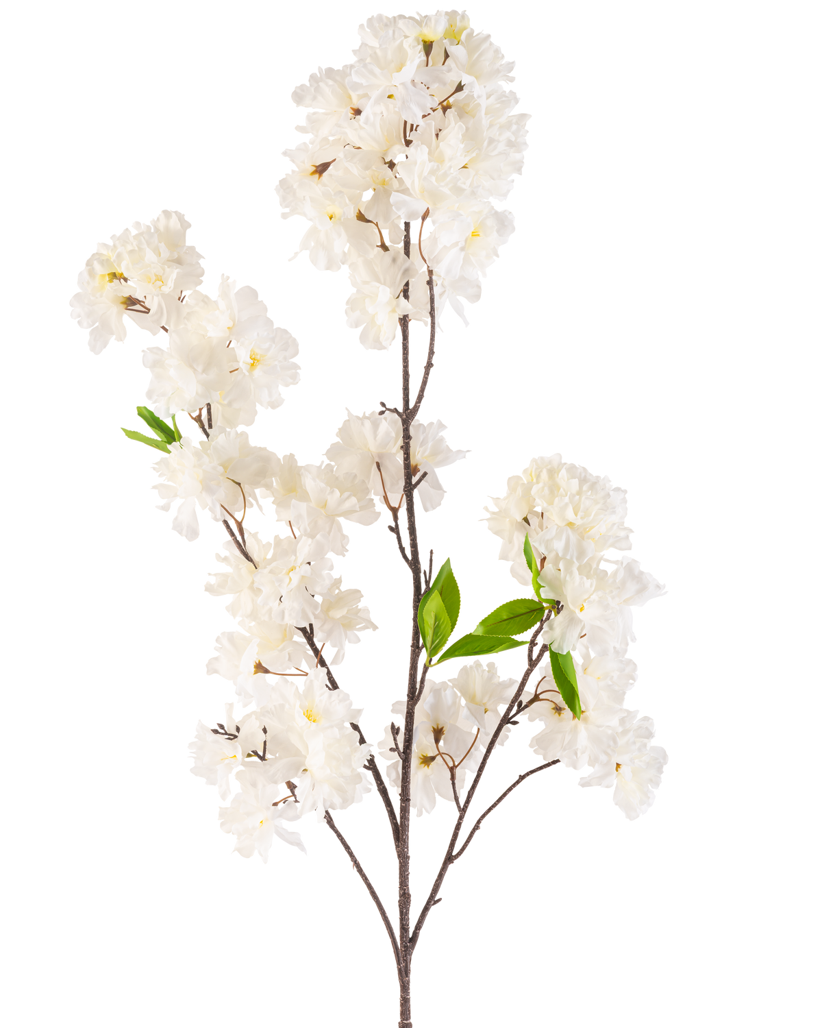 En konstgjord körsbärsblomma 119 cm kräm med kluster av fina vita blommor och några ljusgröna blad på smala bruna stjälkar, isolerade på en vit bakgrund.