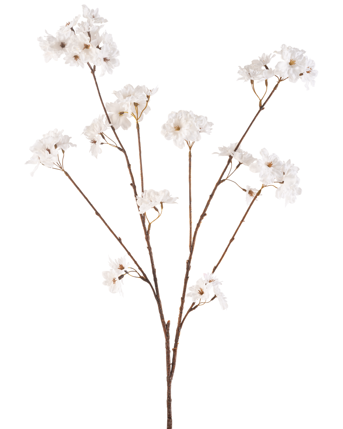 Krämen Artificial Flower Cherry Blossom 114 cm har en brun stjälk som förgrenar sig till mindre stjälkar, var och en dekorerad med delikata konstgjorda blommor i en krämig vit nyans, mot en vanlig vit bakgrund.