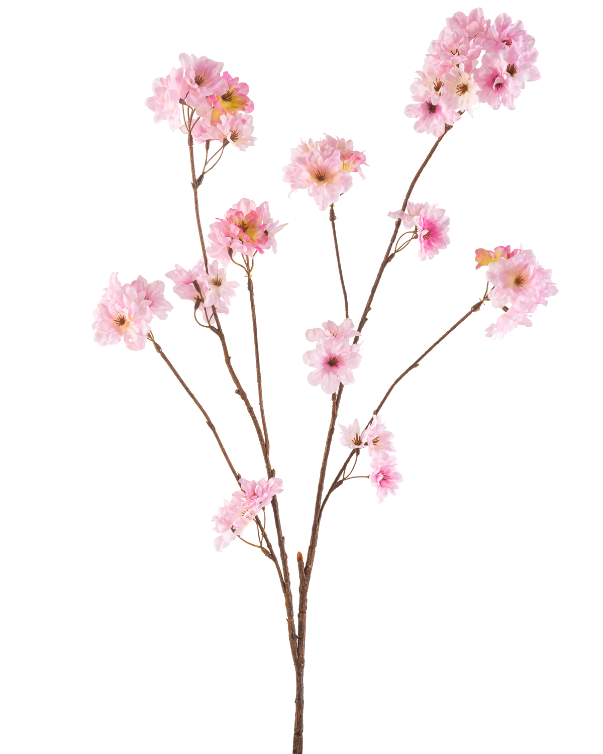 Den konstgjorda Körsbärsblomman 114 cm rosa har flera smala bruna stjälkar med klasar av mjukt rosa körsbärsblommor mot en vanlig vit bakgrund.