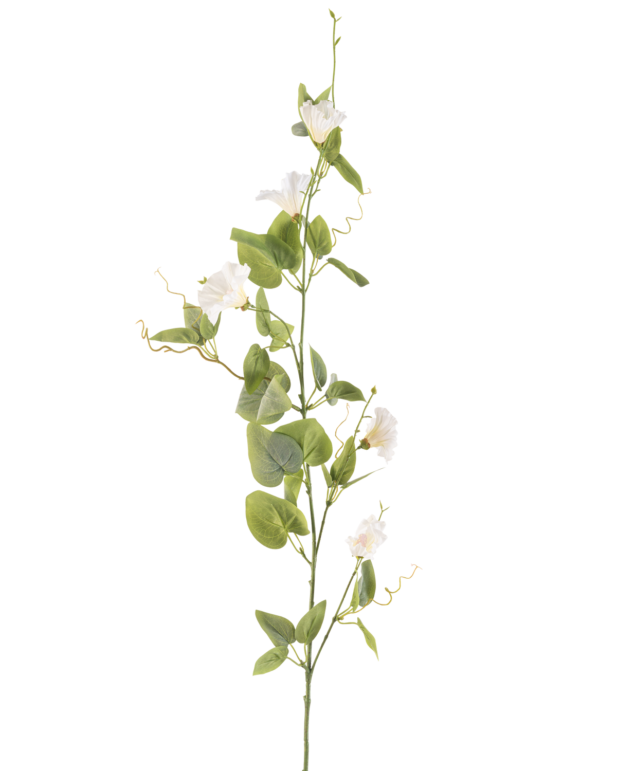 Den konstgjorda blombindan 122 cm vit har en enda stjälk med små vita blommor, gröna blad och krullade rankor mot en vanlig vit bakgrund.