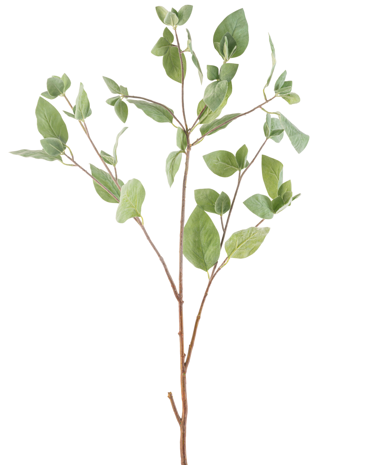 Den konstgjorda grenen Mint Leaf 97 cm grön har flera tunna stjälkar med gröna ovala blad mot en vanlig vit bakgrund.