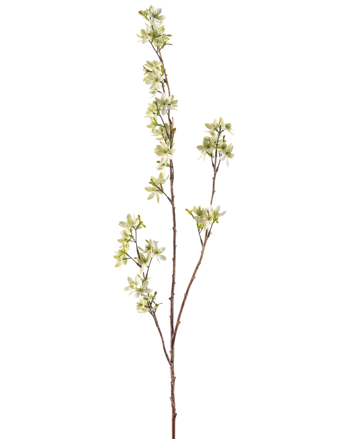 De konstgjorda blommorna 102 cm gröna har en enda hög stjälk med flera tunna skott, dekorerade med klasar av små vita och ljusgröna blommor, mot en vanlig vit bakgrund.