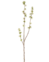 Artificiell grenfrölåda 104 cm kräm har en enda brun gren med små gröna blad och klasar av små vita blommor mot en vanlig vit bakgrund.