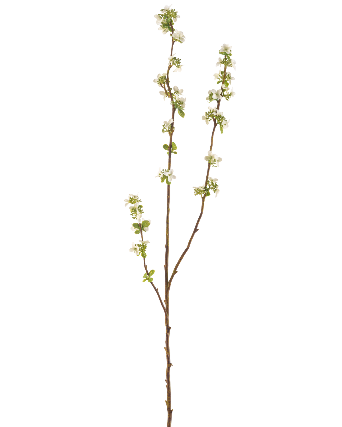 Artificiell grenfrölåda 104 cm kräm har en enda brun gren med små gröna blad och klasar av små vita blommor mot en vanlig vit bakgrund.