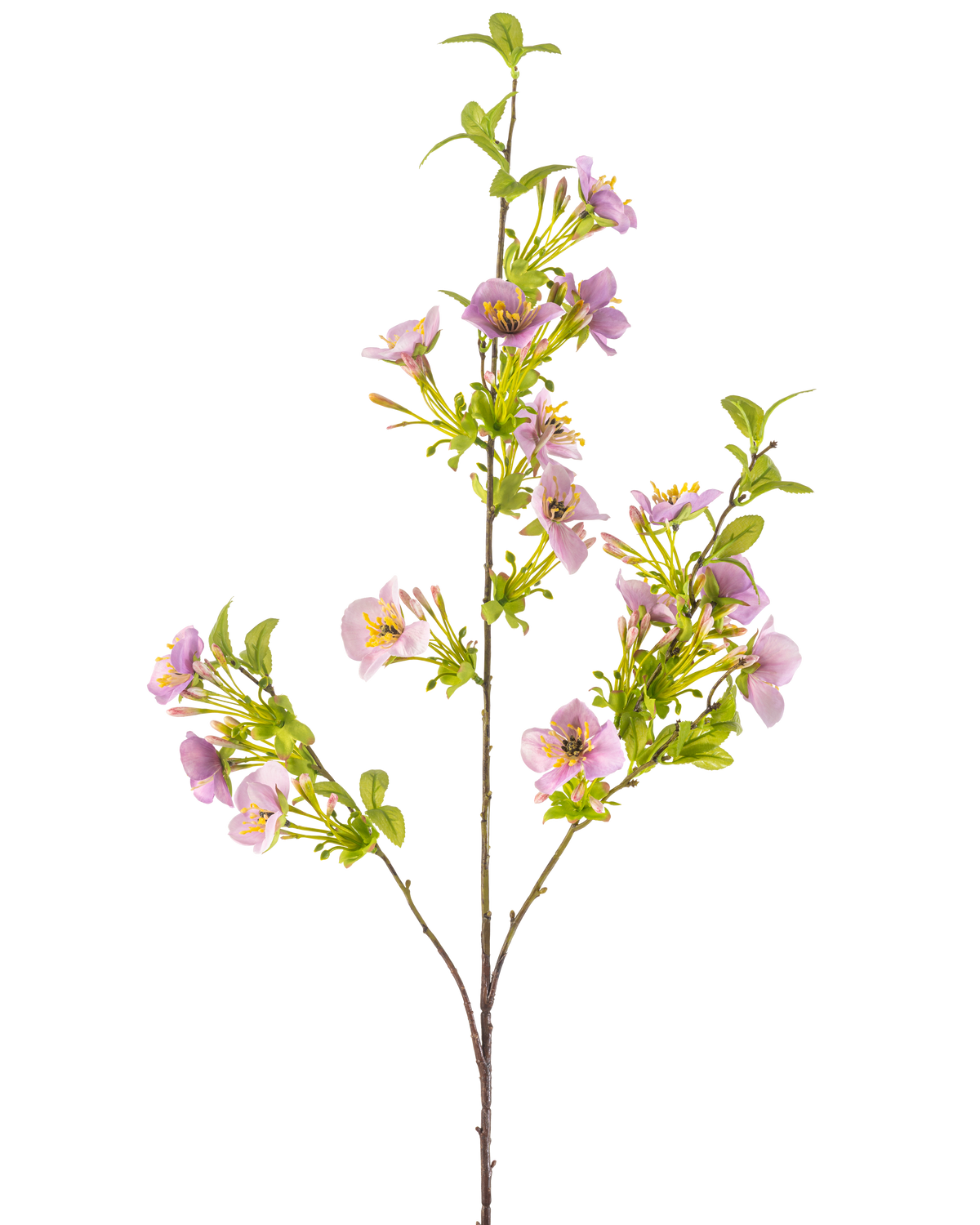 Den konstgjorda blomman Quisqualis 110 cm lila har en lång, smal stjälk med flera gröna blad och klasar av känsliga ljuslila blommor med ett gult hjärta mot en vit bakgrund.