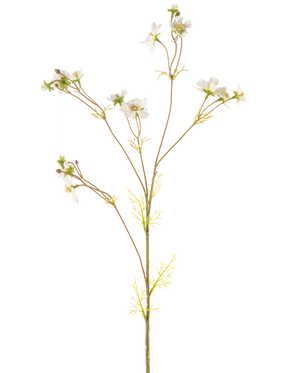The Artificial Flower Cosmos 95 cm kräm är en lång, delikat konstgjord växt med tunna stjälkar, små gröna blad och klasar av små vita blommor med ett gult hjärta, avbildad mot en vanlig vit bakgrund.