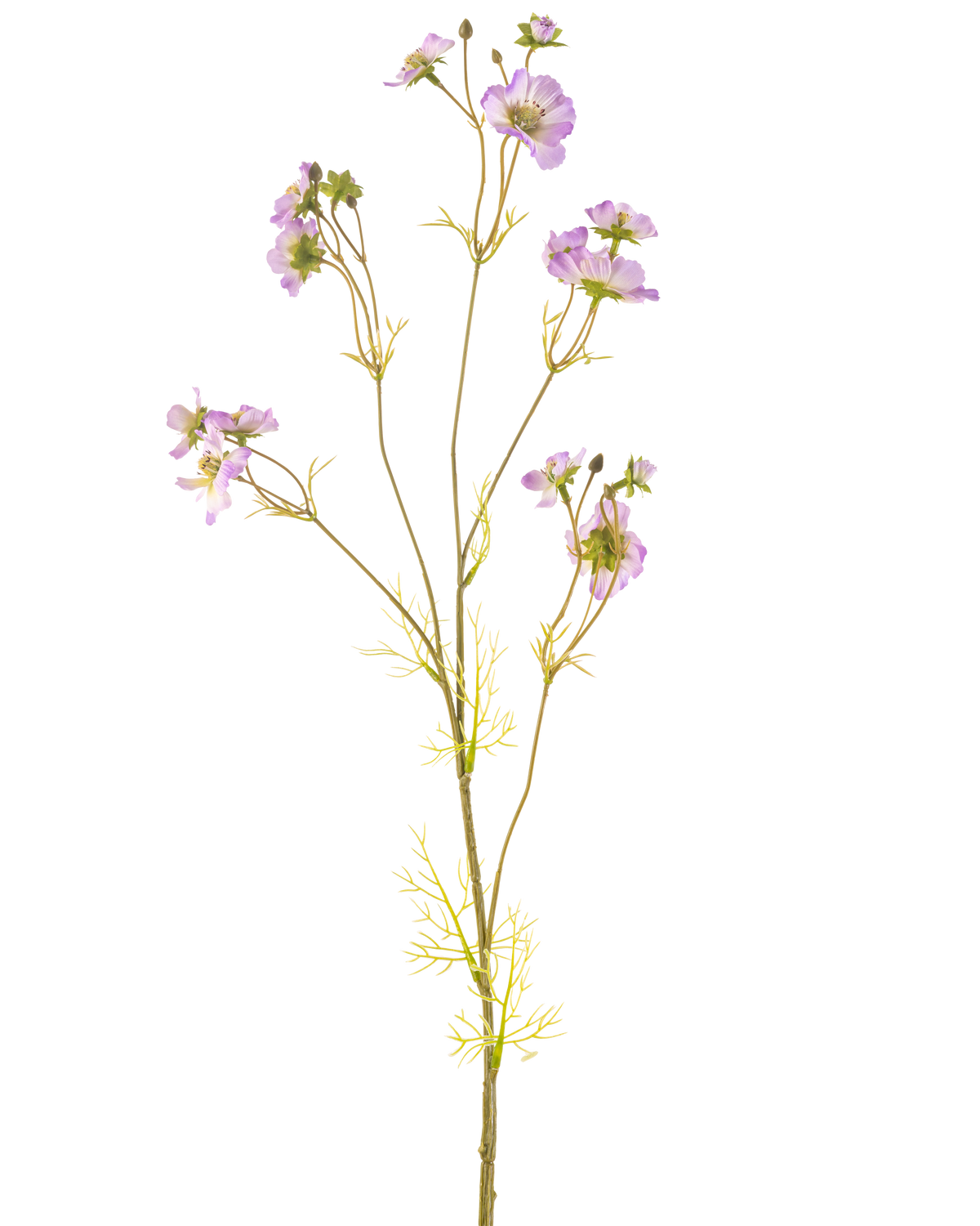 Artificiell Blomma Cosmos 95 cm lila har en delikat stjälk med flera ljuslila blommor och små gröna blad, vackert mot en vanlig vit bakgrund.