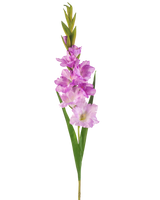 Den konstgjorda blomman Gladiolus 93 cm lila är en konstgjord gladiolustjälk med ljuslila och rosa blommor, gröna blad och knoppar mot en vit bakgrund.