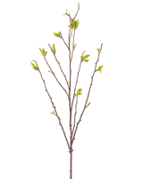 Den konstgjorda blomman Winterzoet 81 cm grön är en konstgjord gren med tunna bruna stjälkar och små gröna blad mot en vit bakgrund.
