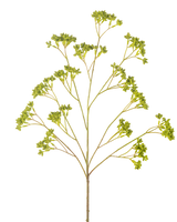 Frölådan med artificiell gren 80 cm grön har en enda grenad stam med flera klasar av små gröna blad, alla arrangerade symmetriskt mot en vit bakgrund.