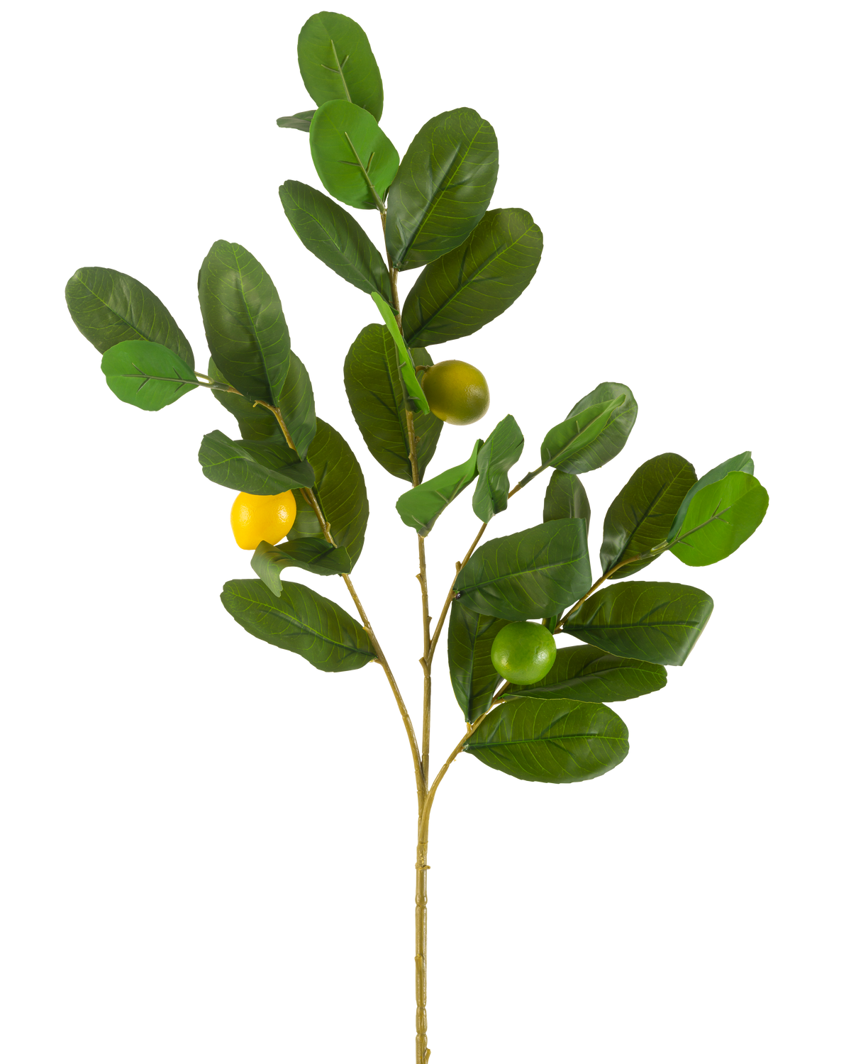Den konstgjorda citrongrenen 80 cm grön har en gren med breda, glänsande gröna blad och tre runda gulgröna frukter, mot en vanlig vit bakgrund.