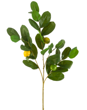 Den konstgjorda citrongrenen 80 cm grön har en gren med breda, glänsande gröna blad och tre runda gulgröna frukter, mot en vanlig vit bakgrund.