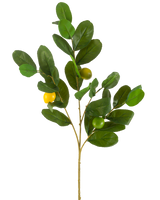 Den konstgjorda citrongrenen 80 cm grön har en gren med breda, glänsande gröna blad och tre runda gulgröna frukter, mot en vanlig vit bakgrund.