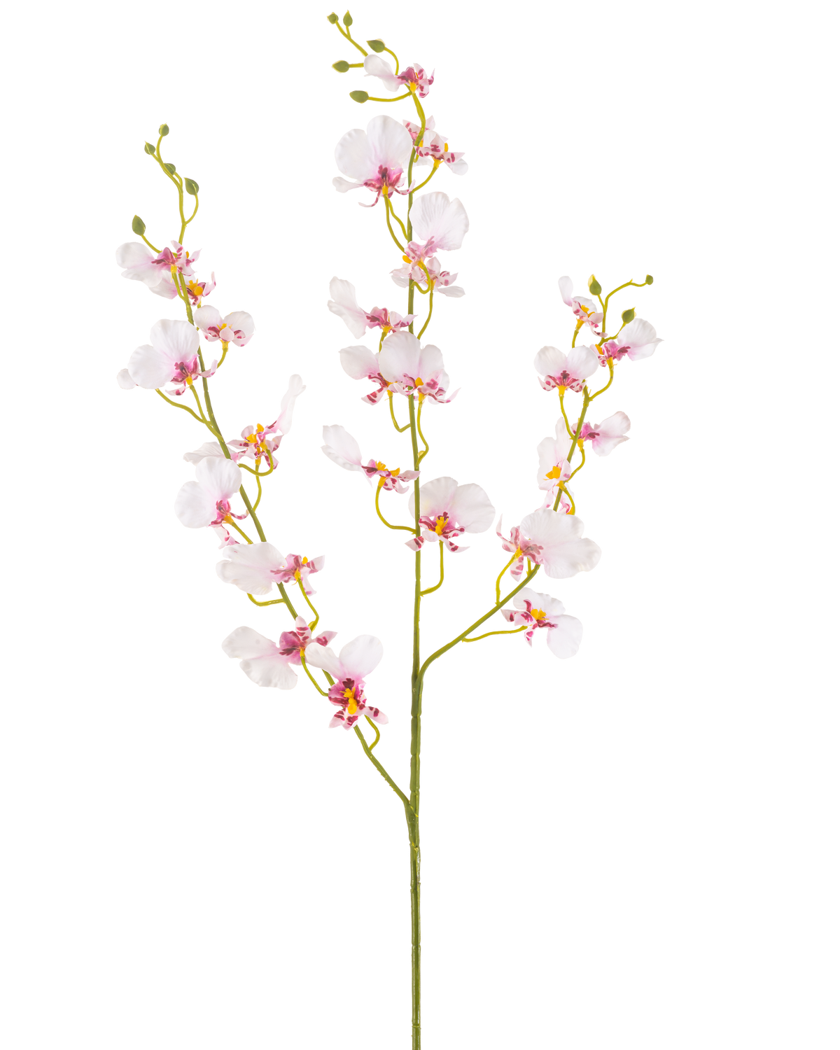Artificiell blomsterorkidé 98 cm rouge har en enda lång stjälk med flera fina ljusrosa orkidéblommor och knoppar, tunna gröna grenar och små ovala blad, allt mot en vanlig vit bakgrund.
