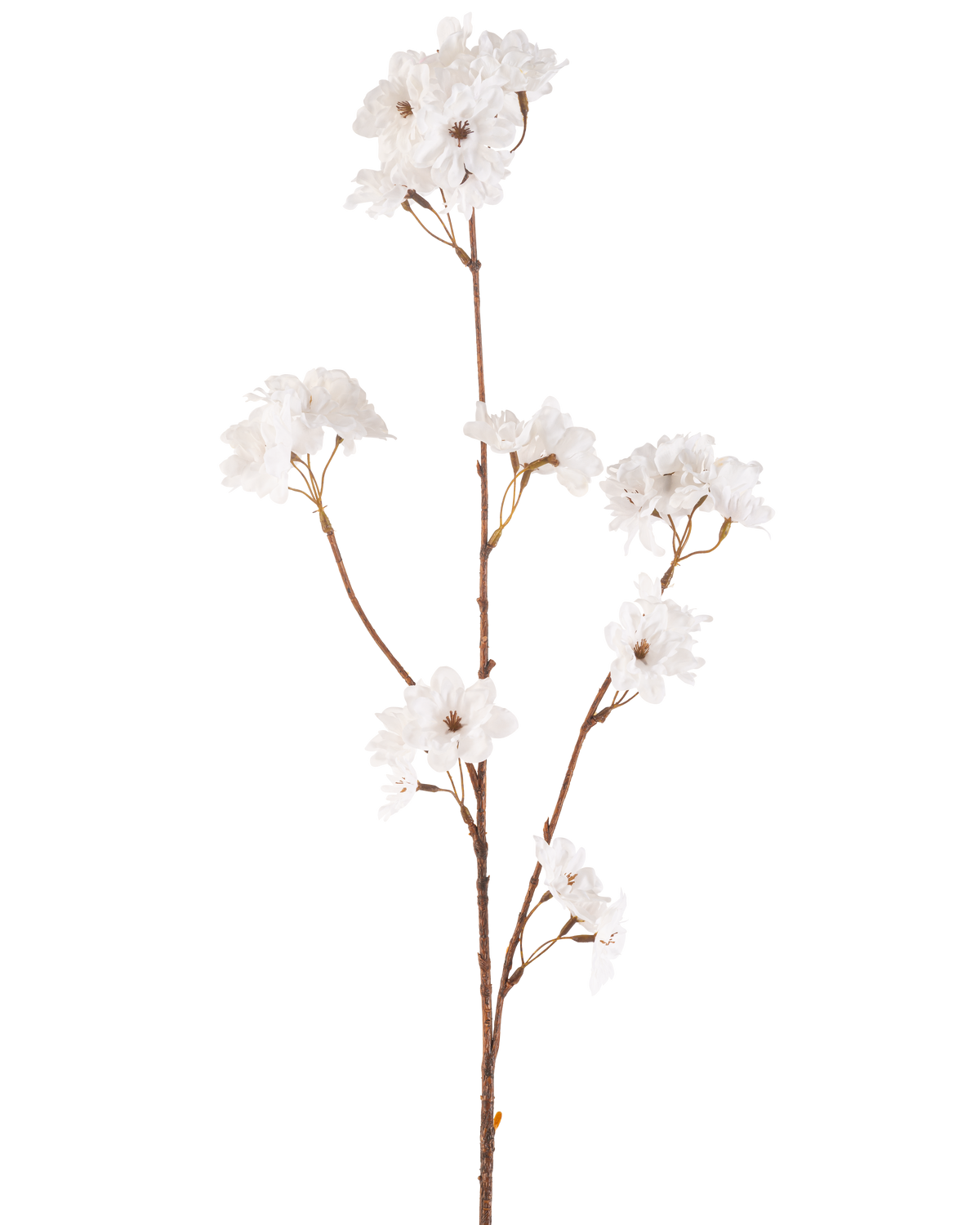 Krämen Artificiell blommor Cherry Blossom 85 cm har en smal brun stjälk med flera grenar som håller klasar av känsliga grädde konstgjorda körsbärsblommor, allt mot en vanlig vit bakgrund.