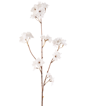 Krämen Artificiell blommor Cherry Blossom 85 cm har en smal brun stjälk med flera grenar som håller klasar av känsliga grädde konstgjorda körsbärsblommor, allt mot en vanlig vit bakgrund.