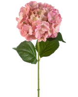 Den konstgjorda blomman hortensia 75 cm rosa har en enda rosa hortensia blomma med fina kronblad och två stora gröna blad på en lång grön stjälk, mot en vit bakgrund.