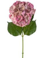 Artificiell blomhortensia 75 cm lila har en enda lila hortensiablomma med gröna blad på en lång stjälk, mot en vit bakgrund.