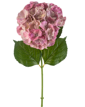 Artificiell blomhortensia 75 cm lila har en enda lila hortensiablomma med gröna blad på en lång stjälk, mot en vit bakgrund.