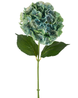 Artificiell blomhortensia 75 cm påfågelblå har en enda blå konstgjord hortensia med runda klasar av kronblad och två stora gröna blad på en lång stjälk, isolerade på en vit bakgrund.