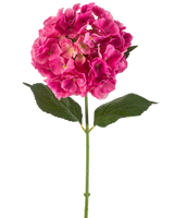 En enda stjälk av konstgjord hortensia blomma 75 cm ljust rosa med knippen av ljust rosa kronblad och några gröna blad, mot en vanlig vit bakgrund.