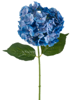Den konstgjorda blommor hortensia 75 cm blå har en enda blå hortensia stjälk med en rund klase av kronblad och två stora gröna blad på en vanlig vit bakgrund.