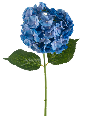 Den konstgjorda blommor hortensia 75 cm blå har en enda blå hortensia stjälk med en rund klase av kronblad och två stora gröna blad på en vanlig vit bakgrund.