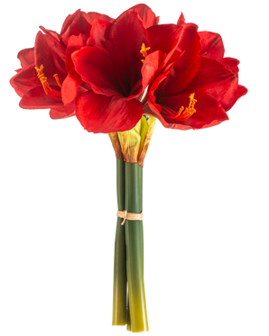 Den konstgjorda blomman Amaryllis Real Touch röd 36 cm har livfulla röda amaryllisblommor med gröna stjälkar, sammanbundna med ett elastiskt band, mot en vanlig vit bakgrund.