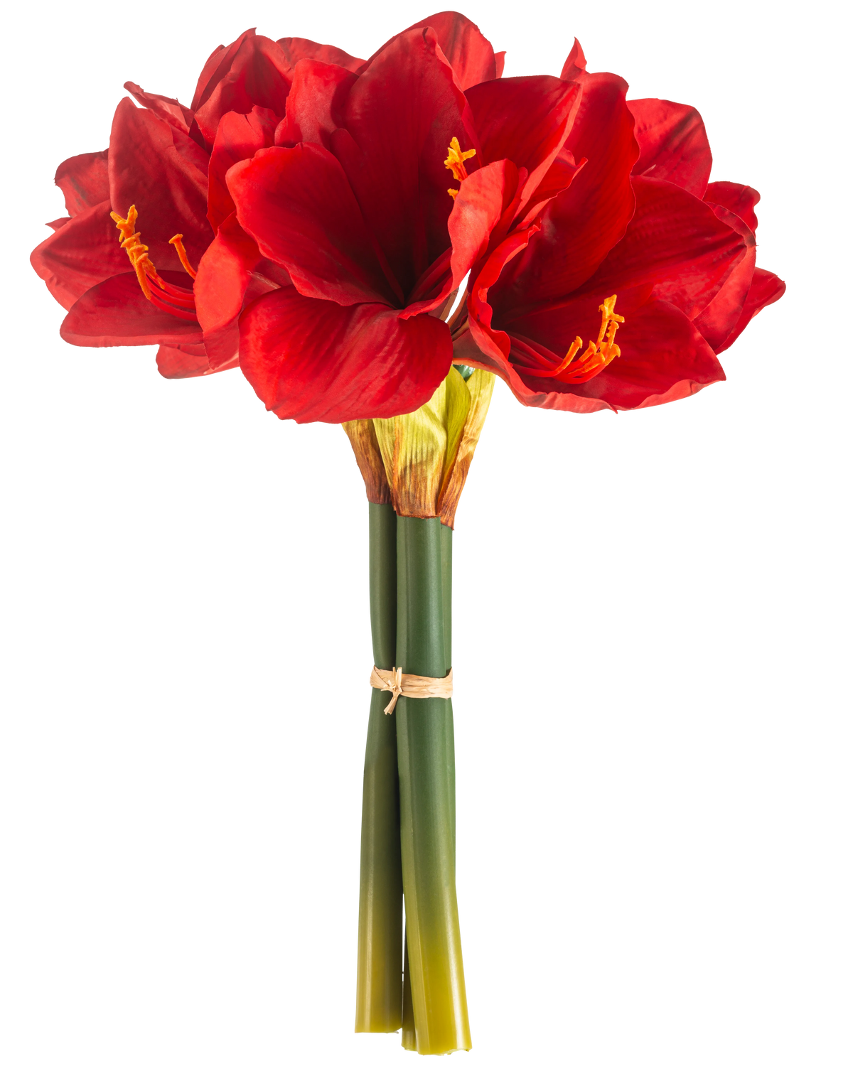 Den konstgjorda blomman Amaryllis Real Touch röd 36 cm har livfulla röda amaryllisblommor med gröna stjälkar, sammanbundna med ett elastiskt band, mot en vanlig vit bakgrund.