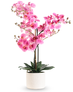Artificiell orkidé Real Touch 68 cm rosa har en livlig rosa orkidé med flera stjälkar och gröna blad i en vit keramikkruka, mot en vanlig vit bakgrund.