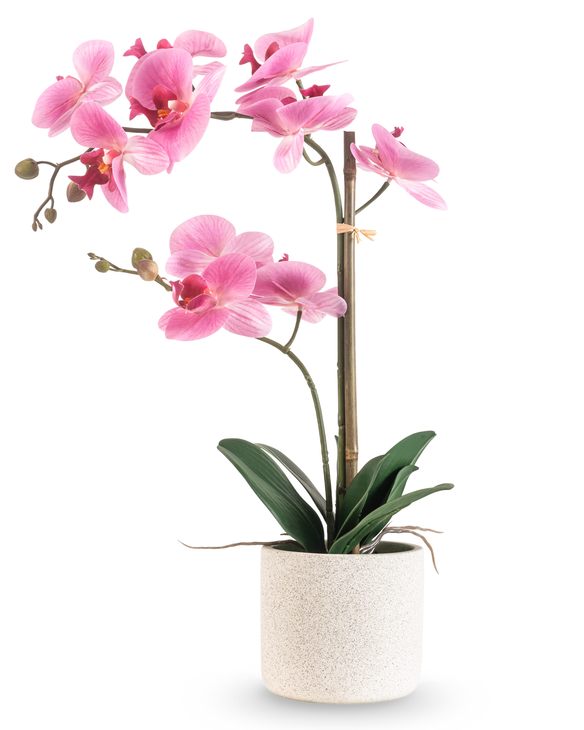 Artificiell orkidé Real Touch 60 cm rosa/vit har en rosa och vit orkidé med olika blommor och gröna blad i en vit strukturerad kruka, stödd av en tunn bambupinne, mot en vanlig vit bakgrund.