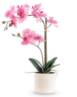 Artificiell orkidé Real Touch 60 cm rosa/vit har en rosa och vit orkidé med olika blommor och gröna blad i en vit strukturerad kruka, stödd av en tunn bambupinne, mot en vanlig vit bakgrund.