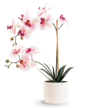 Artificiell orkidé Real Touch 60 cm rosa/vit har ljusrosa och vita blommor med mörkgröna blad, stödda av en bambupinne, mot en vanlig vit bakgrund.