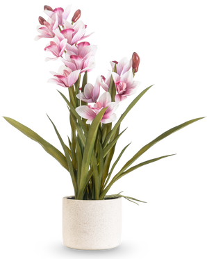 Artificiell Cymbidium Real Touch 60 cm rosa har långa gröna blad och flera rosa och vita orkidéer på långa stjälkar, arrangerade i en enkel benvit texturerad kruka mot en vanlig bakgrund.