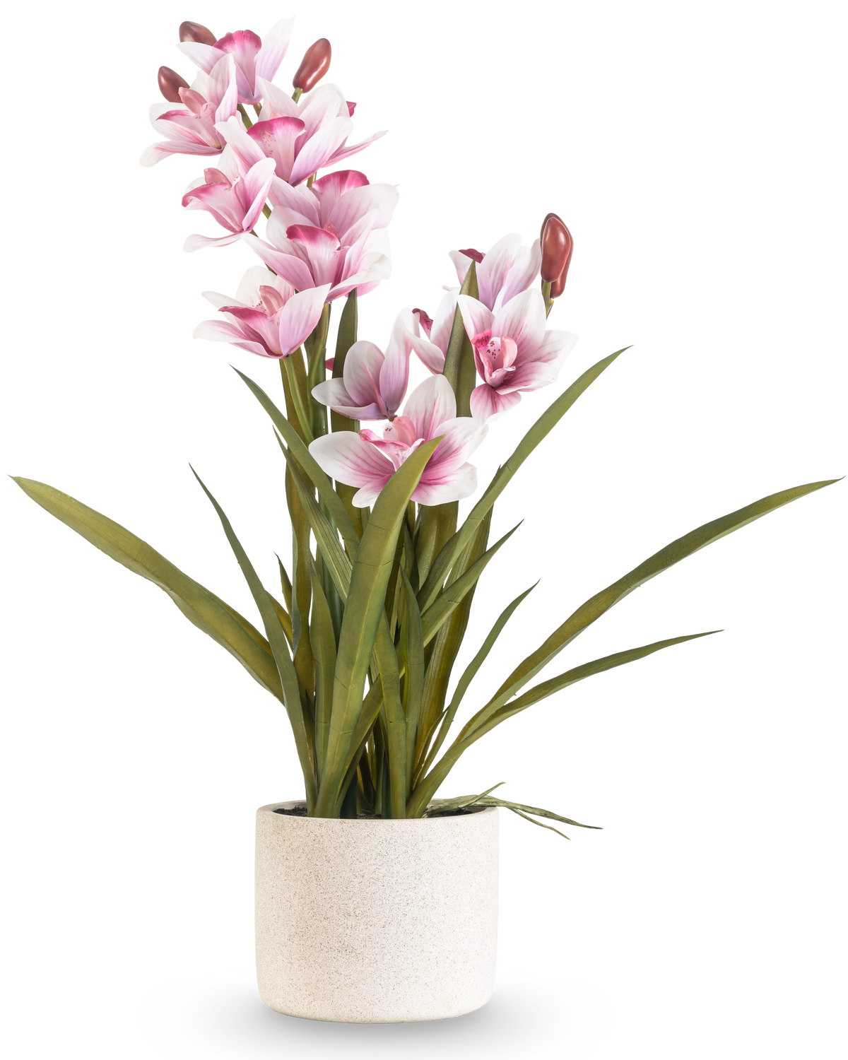 Artificiell Cymbidium Real Touch 60 cm rosa har långa gröna blad och flera rosa och vita orkidéer på långa stjälkar, arrangerade i en enkel benvit texturerad kruka mot en vanlig bakgrund.
