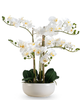 En konstgjord orkidé Real Touch 50 cm i vitt, med flera blommor och knoppar, elegant presenterad i en matchande vit kruka.
