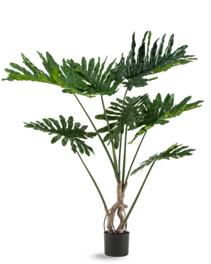 Den konstgjorda växten Philodendron 120 cm har stora, glänsande, djupt skurna gröna blad och flera långa stjälkar med en vriden stam, mot en vanlig vit bakgrund.