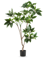 Den konstgjorda Schefflera 120 cm-växten har flera smala bruna stjälkar med klasar av stora, glänsande gröna blad i en liten svart kruka, mot en vanlig vit bakgrund.