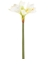 Konstblomman Amaryllis Real Touch vit 66 cm har en hög grön stjälk med ett antal stora vita Amaryllisblommor i toppen, mot en vanlig vit bakgrund.