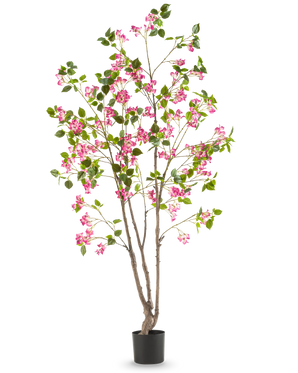 Den konstgjorda bougainvillean 180 cm är en hög konstgjord växt med flera bruna stjälkar, gröna blad och ljust rosa blommor i en svart kruka, mot en vanlig vit bakgrund.